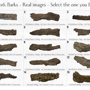 Virgin Cork Bark, for Orchids, Airplants, Reptiles, Vivarium and Terrarium Decor ? MA028