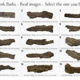 Virgin Cork Bark, for Orchids, Airplants, Reptiles, Vivarium and Terrarium Decor ? MA028