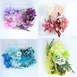 Flower Foreign Grass Dried Christmas DIY Fan Aromatherapy Hydrangea Fresh Flower