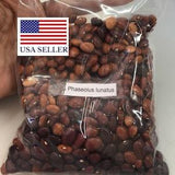 Phaseolus lunatus seeds - Lima bean, Butter bean, Madagascar bean - 10 seeds