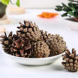 25PCS Christmas Artificial Natural Pine Cone Dried Flowers DIY Xmas Party Decors