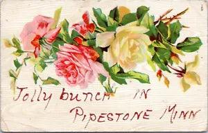 Postcard MN Pipestone - Jolly bunch in?? flowers carnation