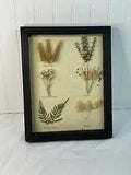 Shadow Box Picture Frame Decor Floral Dried Seed Pods Wall Art