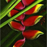Lobster Claw Heliconia painting