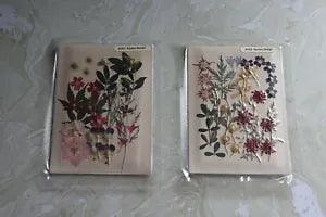 LOT OF ( 2 )  SETS OF DRIED & PRESSED FLOWERS BY GOLDEN FLOWER D&B CO. LTD.