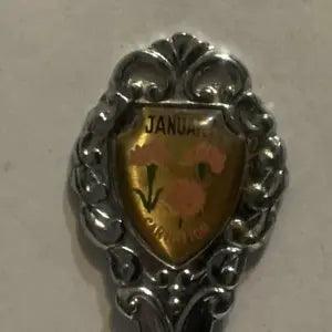January Carnation Flower  Collectable Souvenir Spoon EE