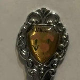 January Carnation Flower  Collectable Souvenir Spoon EE
