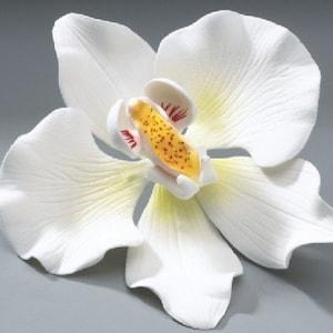 Orchid Gum Paste Flowers for Weddings and Cake Decorating