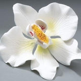 Orchid Gum Paste Flowers for Weddings and Cake Decorating