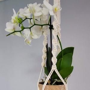 Modern Macram??? for Orchids