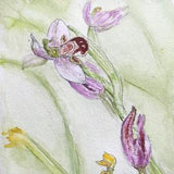 Watercolor wild Orphis orchid. Original hand-painted painting. Ideal for Mother's Day.