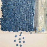 40PCS Forget Me Not Dried Flower Head Epoxy Resin Card Phone Case Filling Decor