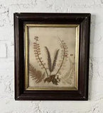 Vintage Framed Dried Pressed Flowers Foliage Art