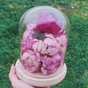 Bell of freeze-dried eternal peonies natural flowers original decoration - Size L