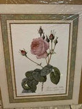 Flowers Pictures Lot