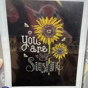 Lily & Val Design Works Counted Cross Stitch Picture Kit YOU ARE MY SUNSHINE