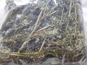 1/4 lb Dry Yarrow Leaves, Flowers, Stems