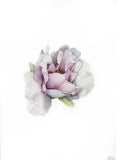Floral art original watercolor painting hand painted wall art realistic peony