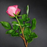 Pink roses Rose porcelain flowers ceramic flower clay flowers realistic roses bouquet of roses fine flowers bouquet for home wall decor
