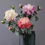 ARTIFICIAL DRY SILK PEONY FLOWER FAKE FAUX ARRANGEMENT PARTY WEDDING HOME DECOR