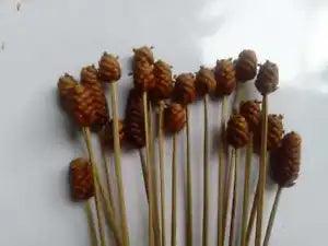 Flower Buds Natural Dried Home Garden Decor Vase Bouquets Wedding  25 pcs New