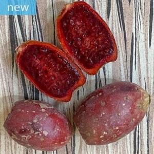 Sweet Blood Prickly Pear - Opuntia Ficus-Indica 'Torre??n Red' - Rare 'Fruit' Seeds - Indian Fig, Red-Orange,Cactus Pear,Opuntia Ficus Indica