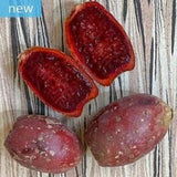 Sweet Blood Prickly Pear - Opuntia Ficus-Indica 'Torre??n Red' - Rare 'Fruit' Seeds - Indian Fig, Red-Orange,Cactus Pear,Opuntia Ficus Indica