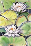 Framed Original Floral Watercolor Painting WHITE LOTUS WATERLILY  Basciano 10x7