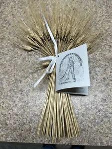 Harvest Dried Wheat Grass Sheaf Stalks Bundle Wall Hanging Unit