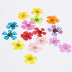 60pcs Pressed Dried Flower Plant Herbarium For Jewellery Postcard Bookmark...