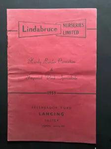1959 Lindabruce Nurseries Limited Carnation Imperial Pink flowers Lancing Sussex