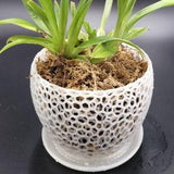 Large Orchid Pot With Saucer In Quartz White