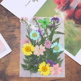 22 Pcs Natural Pressed Plants Dried Flowers for Nail Art Candle