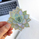 Succulent Sticker - Clear Vinyl Sticker - Waterbottle Sticker - Laptop Sticker - Clear Sticker - Plant Sticker - Sticker -GraceandGloriaCo