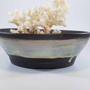 Beautiful contrasting planter