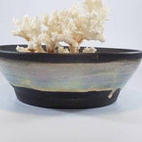 Beautiful contrasting planter