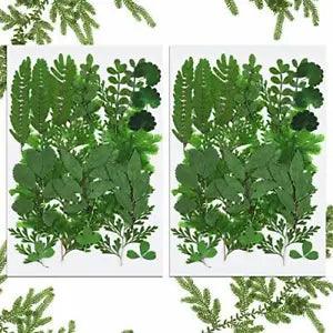 42 Pieces Dried Greenery Dried Leaves for Resin Real Dried Pressed Flowers As...