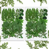 42 Pieces Dried Greenery Dried Leaves for Resin Real Dried Pressed Flowers As...