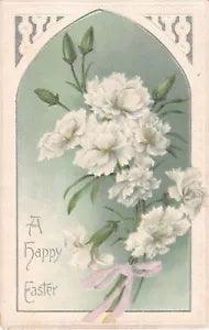 1912 Easter Postcard of Lovely White Carnations