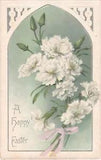1912 Easter Postcard of Lovely White Carnations
