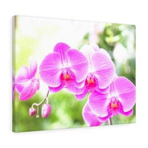 Orchid Floral Wall Decor pink and lime green high resolution photo Printed on ready to hang canvas