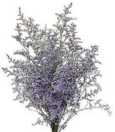 What do you guys think about this Baby's Breath Bouquet??? - Weddingbee-Boards Flower Delivery