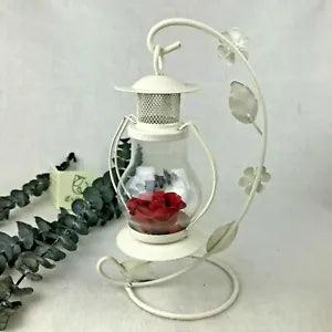 REAL Preserved Eternity Forever Rose Lantern Anniversary Mother's Day Gift