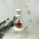 REAL Preserved Eternity Forever Rose Lantern Anniversary Mother's Day Gift