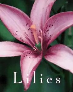 Lilies by Scott D Appell: New