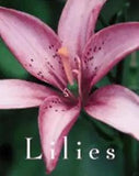 Lilies by Scott D Appell: New