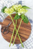The Secrets to Long Lasting Cut Hydrangeas - On Sutton Place Flower Delivery