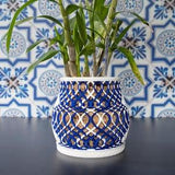 Dual Color Bellied Orchid Planter with Holes, Duo-Toned Orchid Pot with Holes, Orchid Pot with Drainage