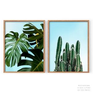 2 Nature Piece, Bright Green Print, Cactus Poster, Monstera Plant, Leaves Photo, Above Bed Set, Above Sofa Set, Blue Gallery Wall, Bar Decor
