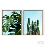 2 Nature Piece, Bright Green Print, Cactus Poster, Monstera Plant, Leaves Photo, Above Bed Set, Above Sofa Set, Blue Gallery Wall, Bar Decor